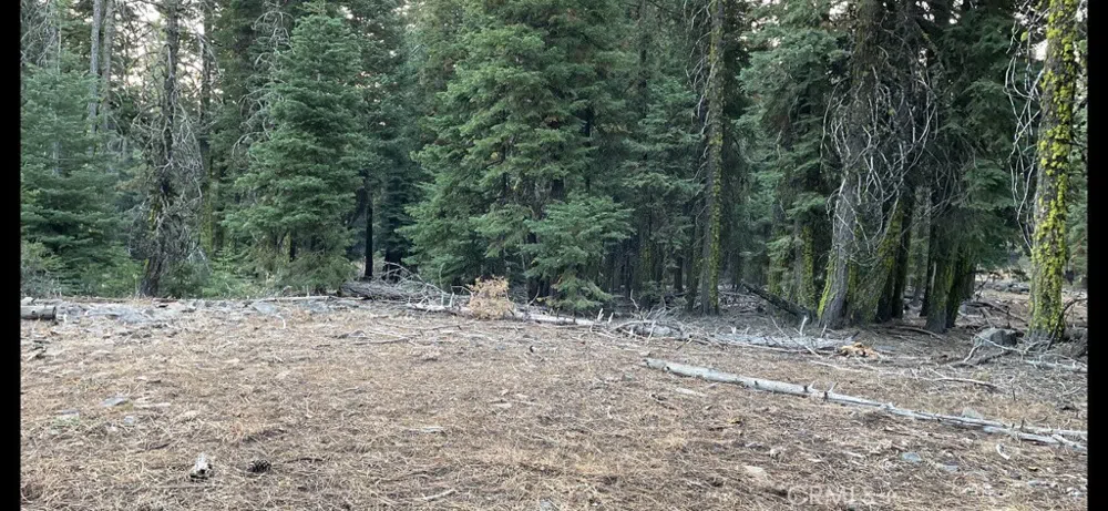10 Basin and Helms Road Alturas, CA 96101