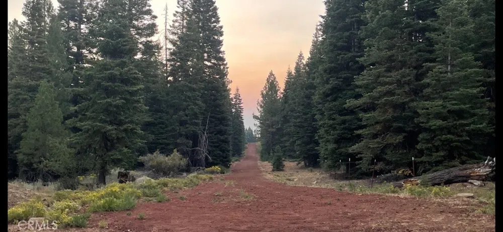 2526 Rainier Road Alturas, CA 96101