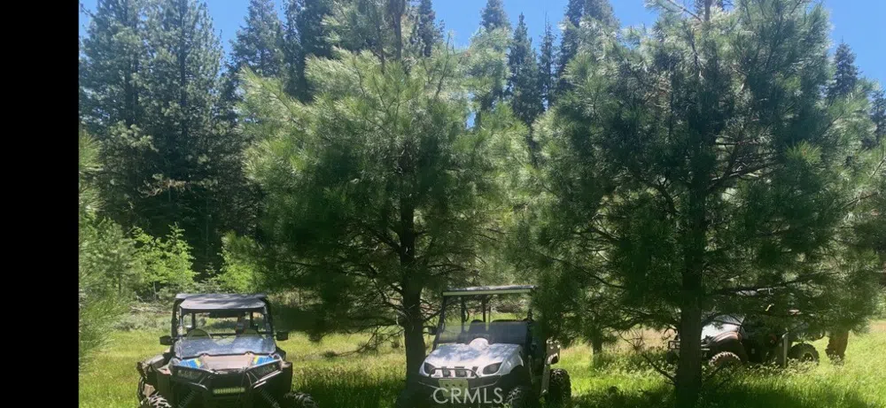 2526 Rainier Road Alturas, CA 96101