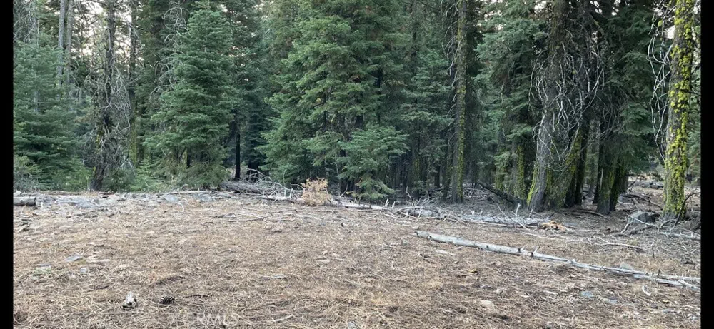 2526 Rainier Road Alturas, CA 96101