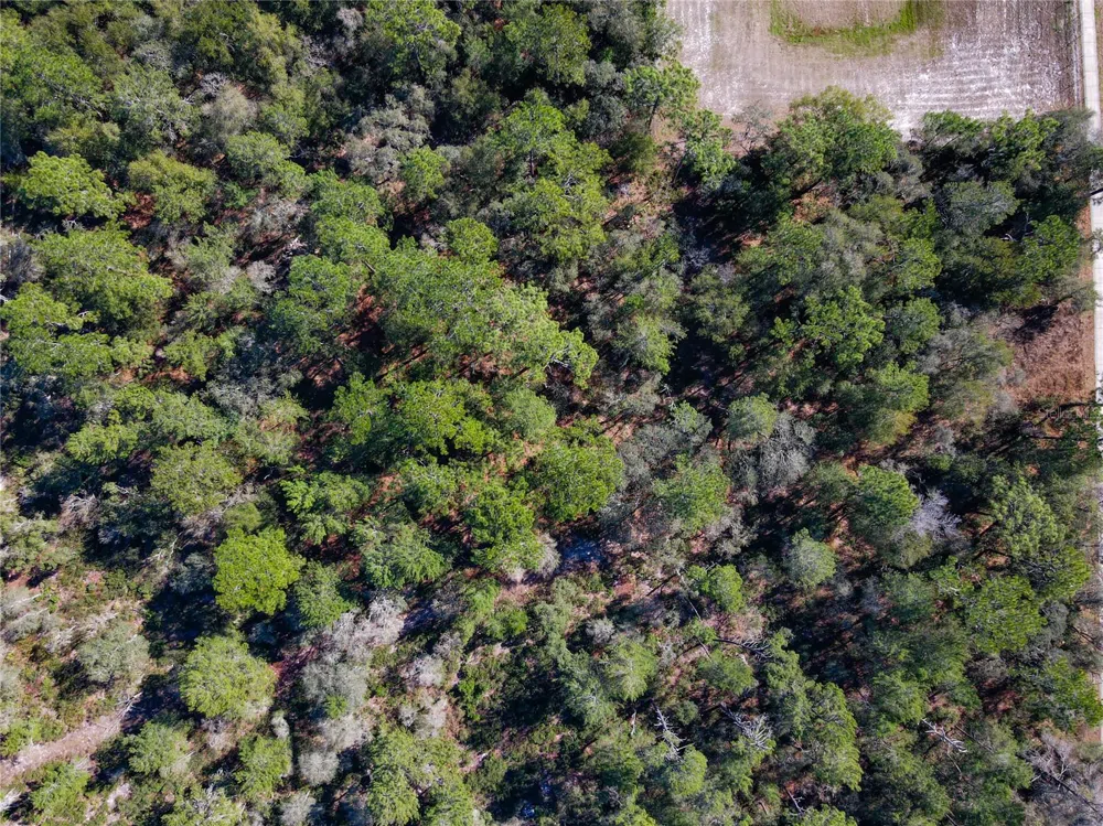 W RHODE ISLAND AVENUE Orange City, FL 32763