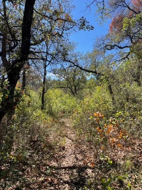 County Road 136 Breckenridge, TX 76424