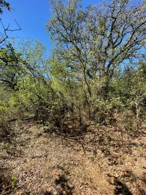 County Road 136 Breckenridge, TX 76424