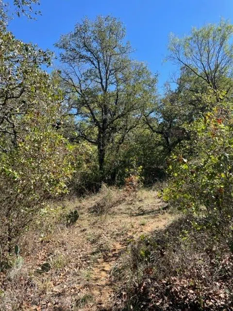 County Road 136 Breckenridge, TX 76424
