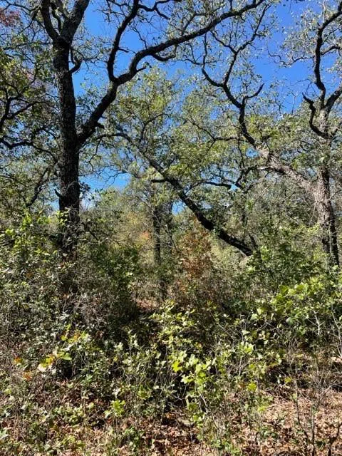 County Road 136 Breckenridge, TX 76424