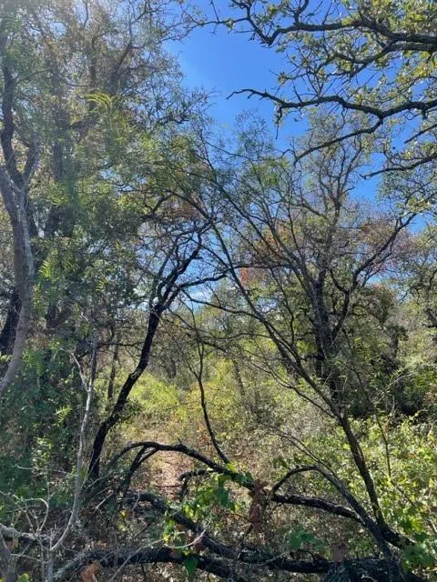 County Road 136 Breckenridge, TX 76424