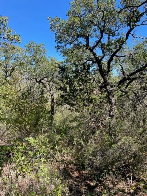 County Road 136 Breckenridge, TX 76424
