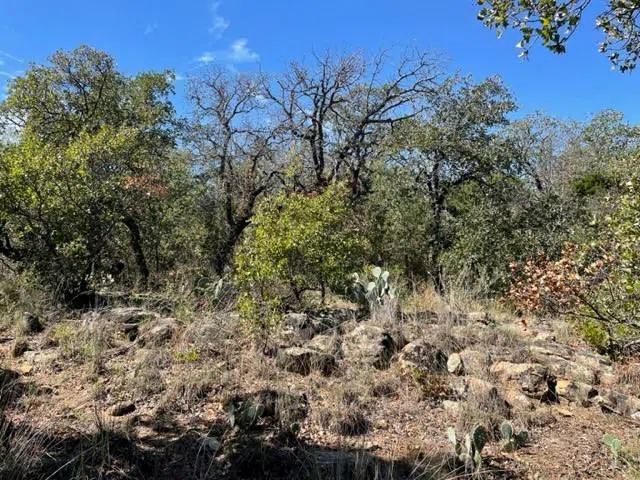 County Road 136 Breckenridge, TX 76424