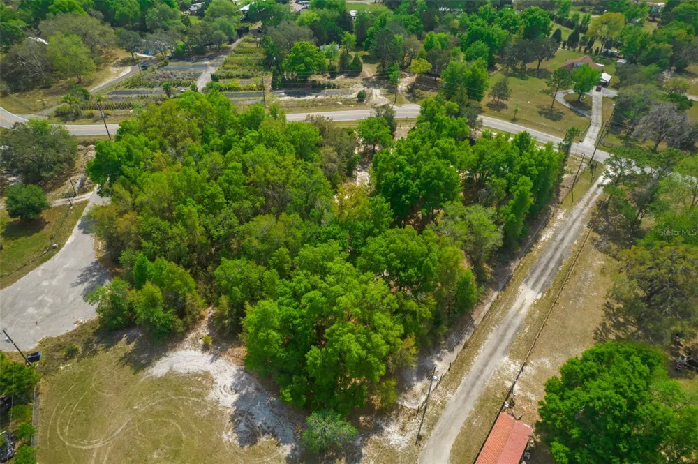 17755 BOSLEY Spring Hill, FL 34610