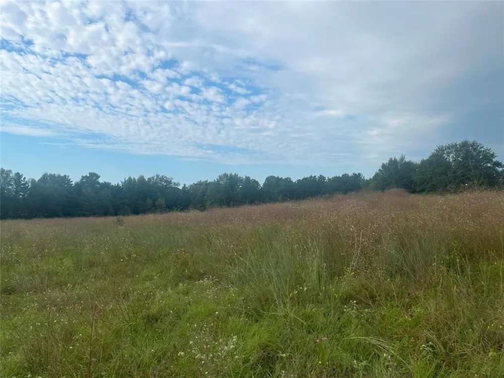Myrtle Drive Jacksonville, TX 75766