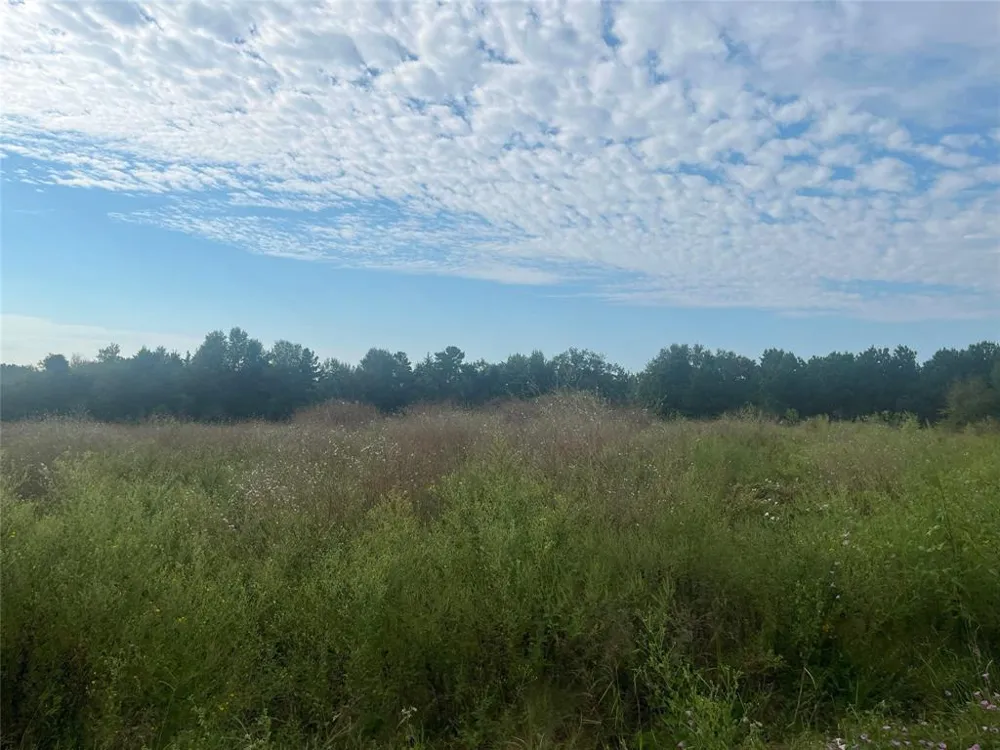 Myrtle Drive Jacksonville, TX 75766