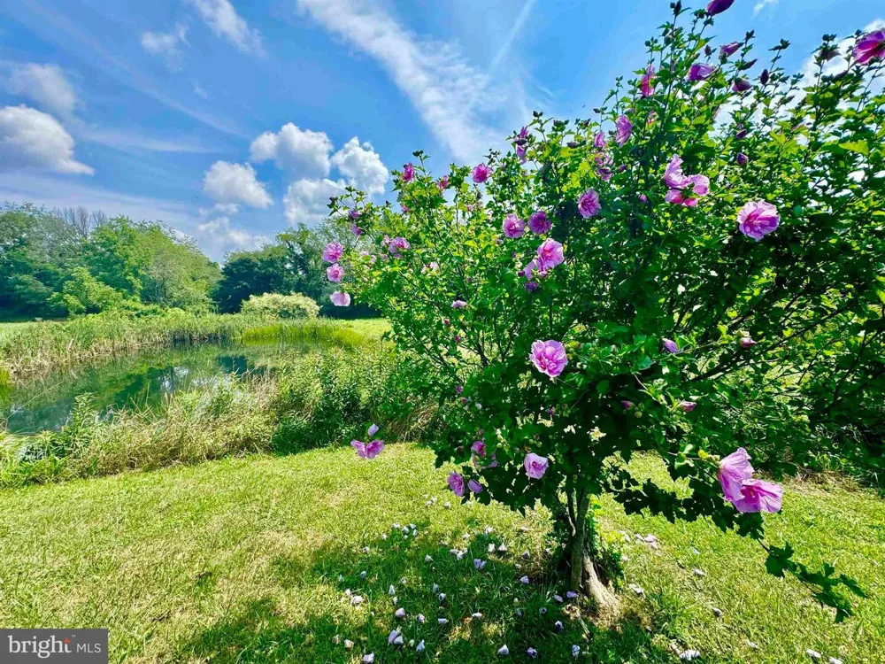 624 ARNOLD HILL ROAD Elkins, WV 26241