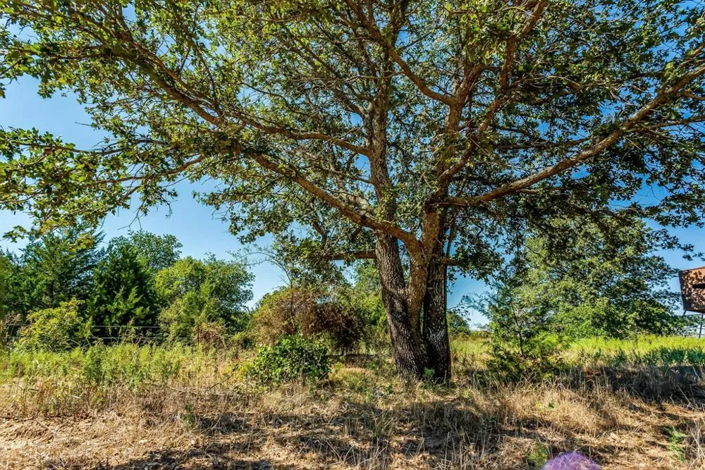 South Johnson Loop Bowie, TX 76230