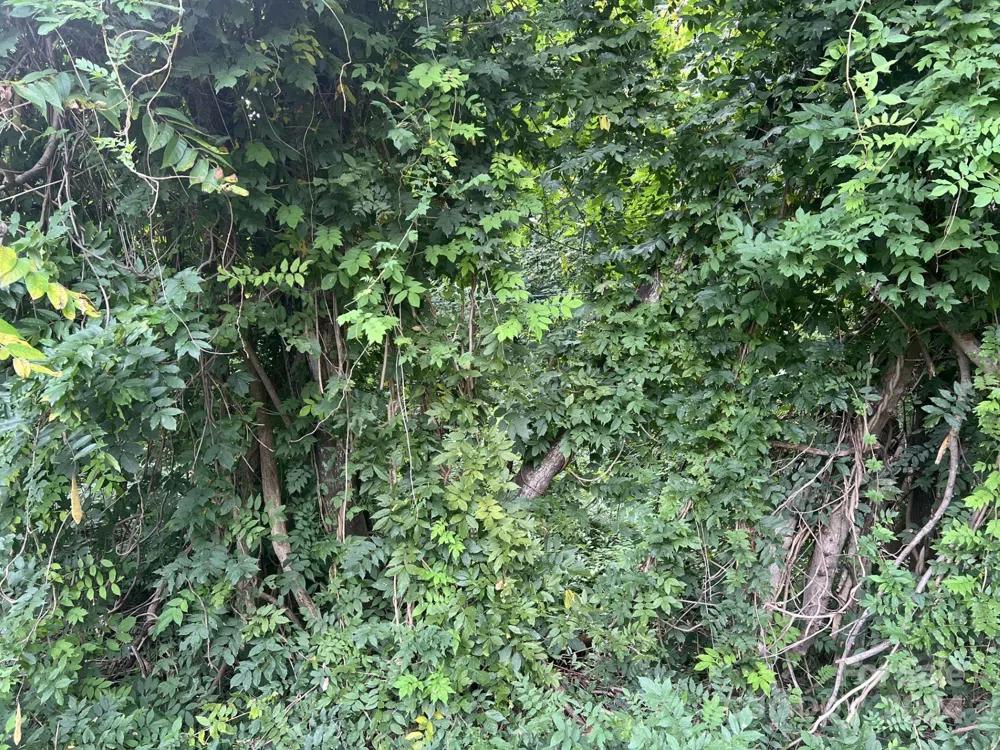 00 Maplewood Lane New London, NC 28127