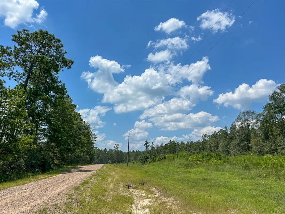 7 Purvis Boulevard Corrigan, TX 77351