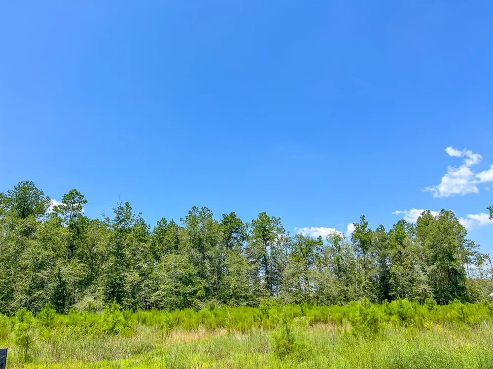 7 Purvis Boulevard Corrigan, TX 77351