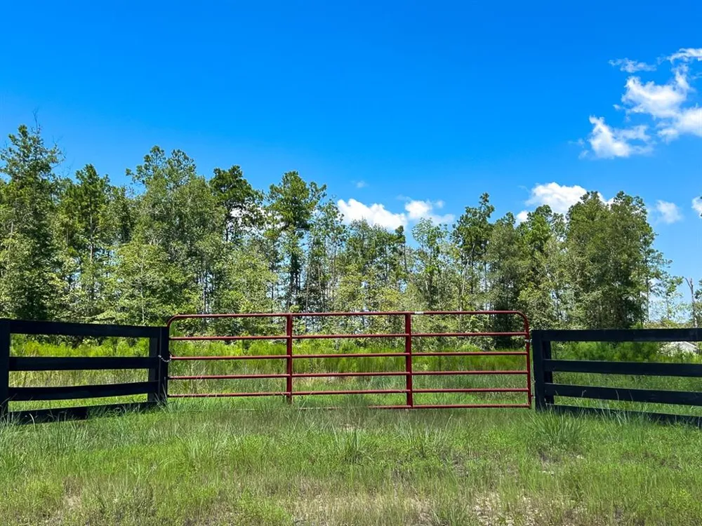 7 Purvis Boulevard Corrigan, TX 77351