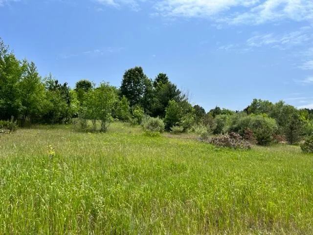 Linderman Road Bear Lake, MI 49614