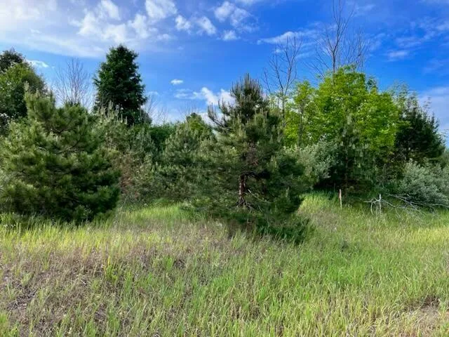 Linderman Road Bear Lake, MI 49614