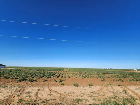 14015 N FM 2378