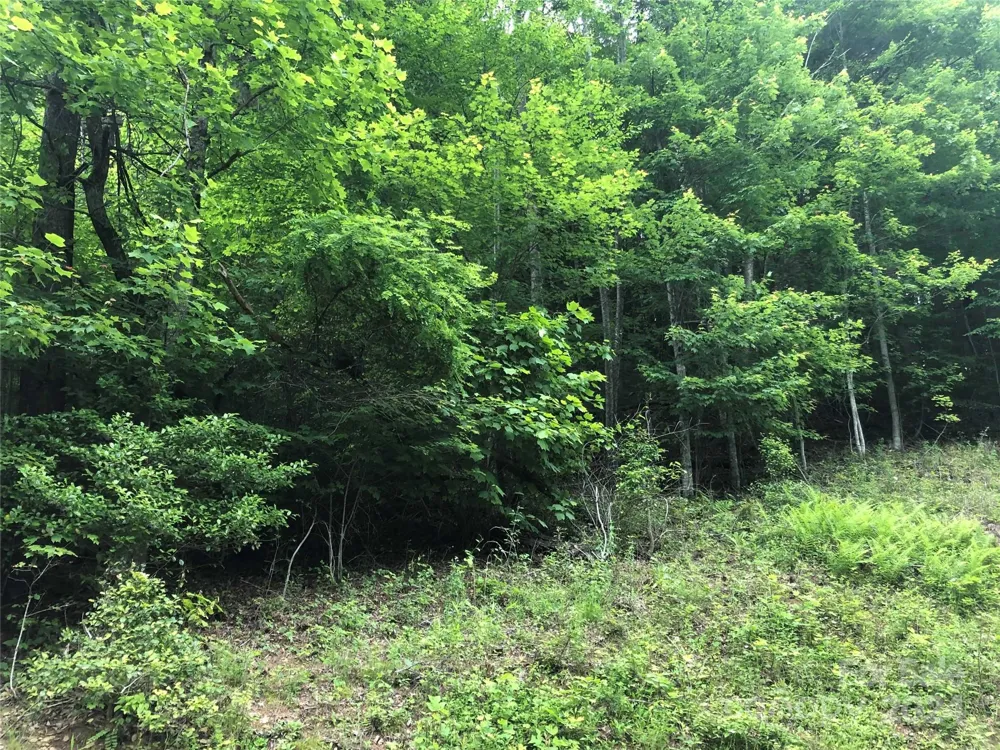 000 N Blue Ridge Parkway E #167 Jefferson, NC 28640