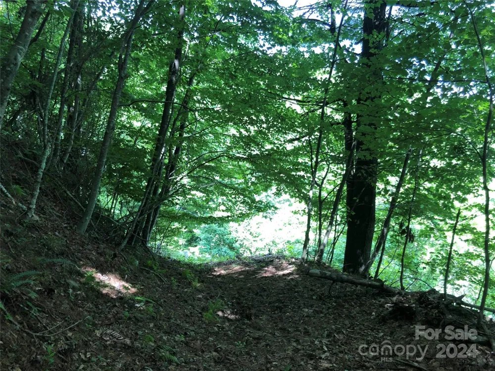000 N Blue Ridge Parkway E #167 Jefferson, NC 28640