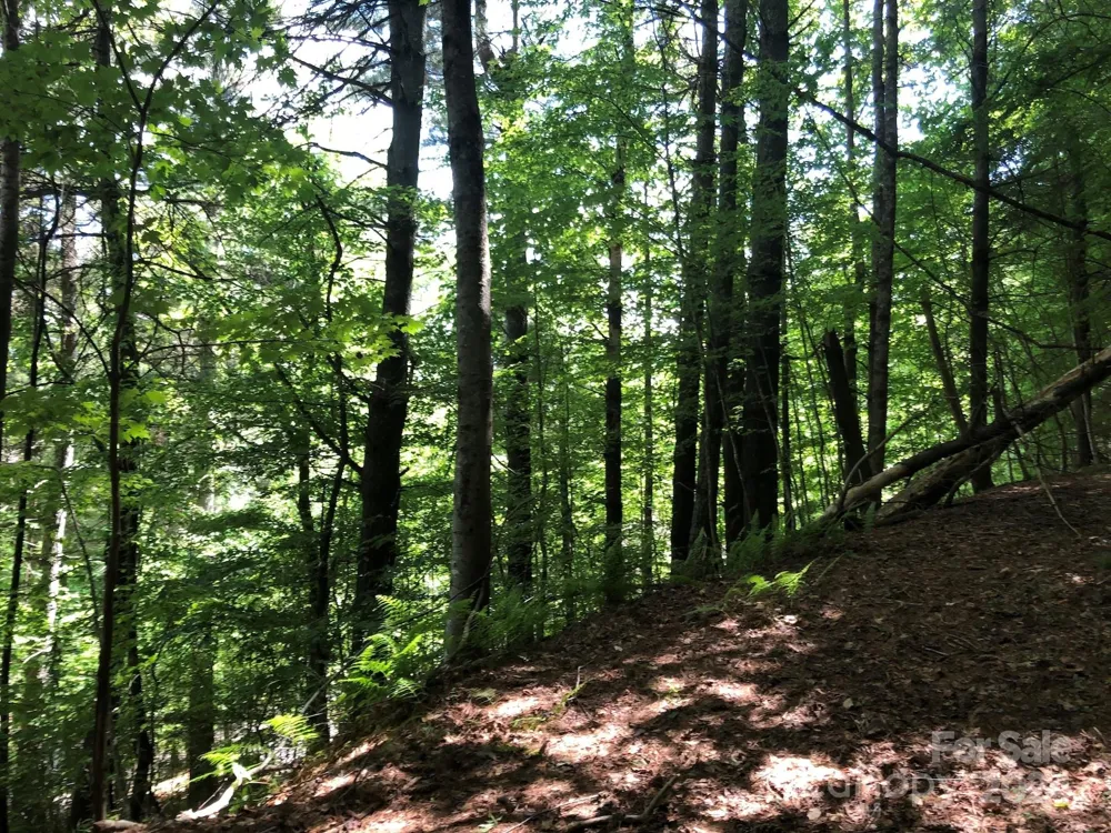 000 N Blue Ridge Parkway E #167 Jefferson, NC 28640