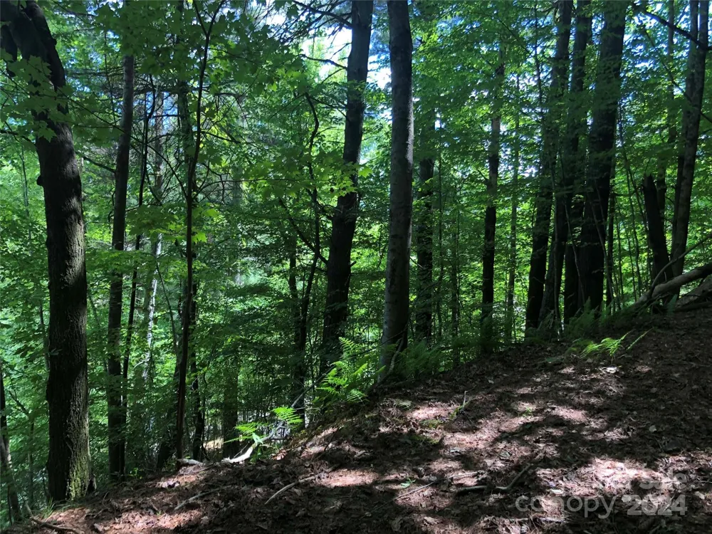 000 N Blue Ridge Parkway E #167 Jefferson, NC 28640