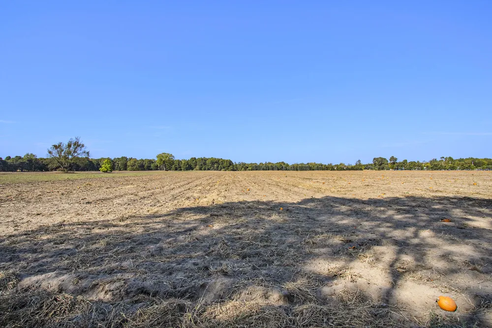 3308 W Monroe Road #Lot A - 2.18 Acres Hart, MI 49420