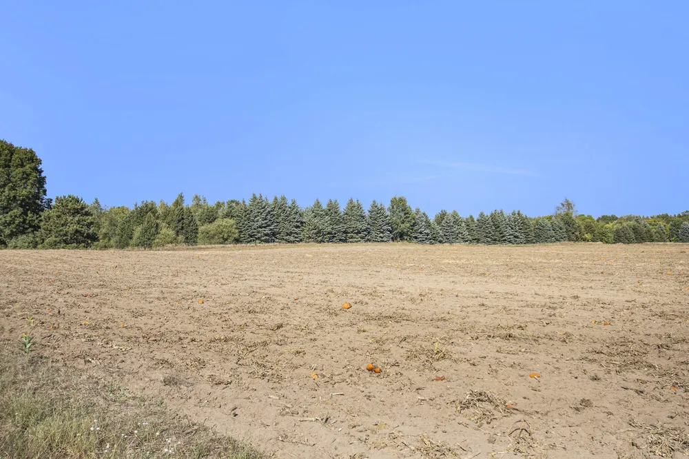 3308 W Monroe Road #Lot B - 23.56 Acres Hart, MI 49420