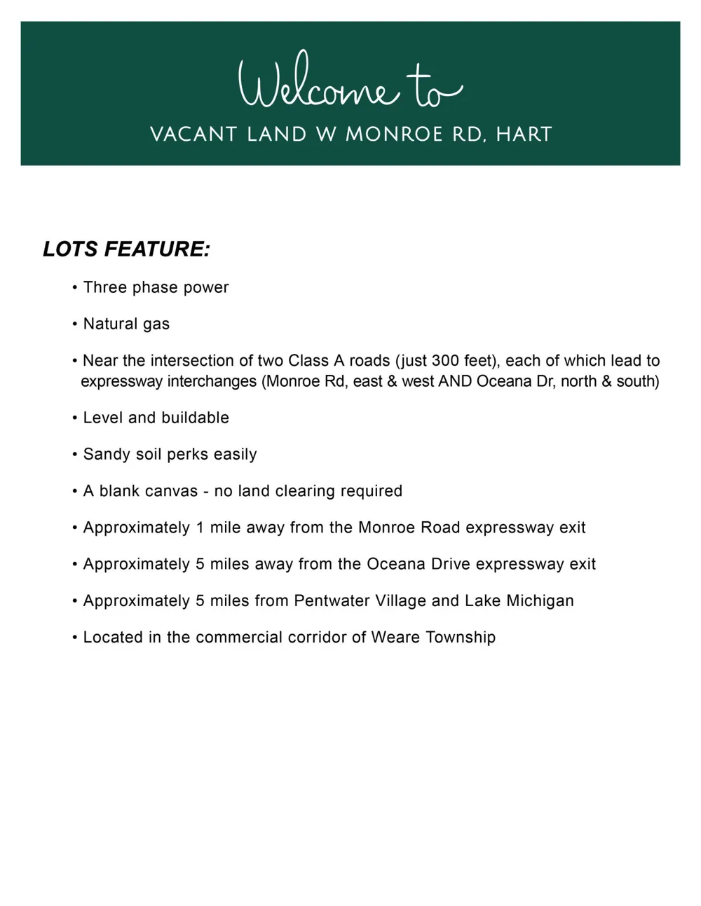 3308 W Monroe Road #Lot B - 23.56 Acres Hart, MI 49420