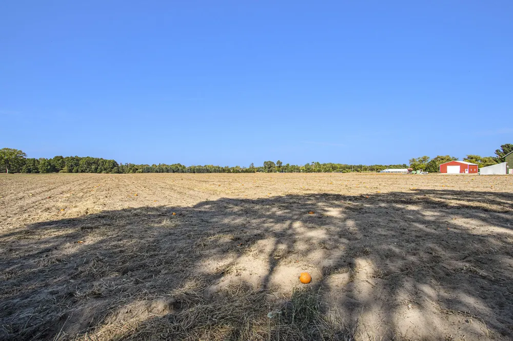 3308 W Monroe Road #Lot C - 25.74 Acres Hart, MI 49420