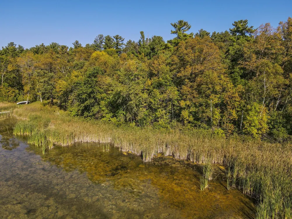 TBD County 39 Laporte, MN 56461