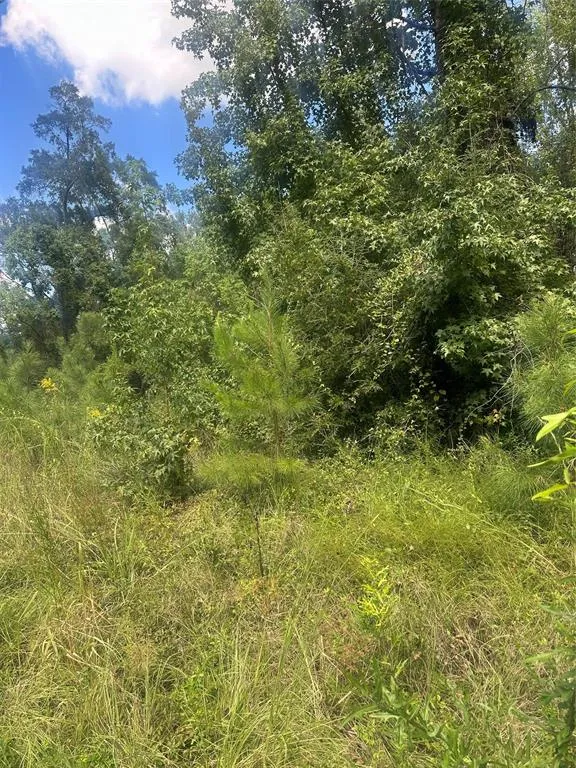 Dale Jonesboro, LA 71251