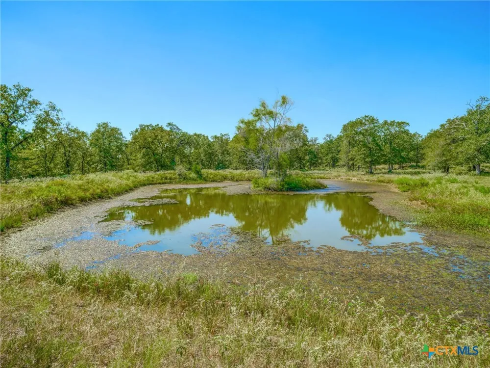 294 Lois Lane Paige, TX 78659