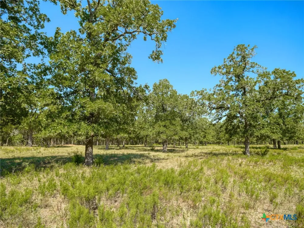 294 Lois Lane Paige, TX 78659