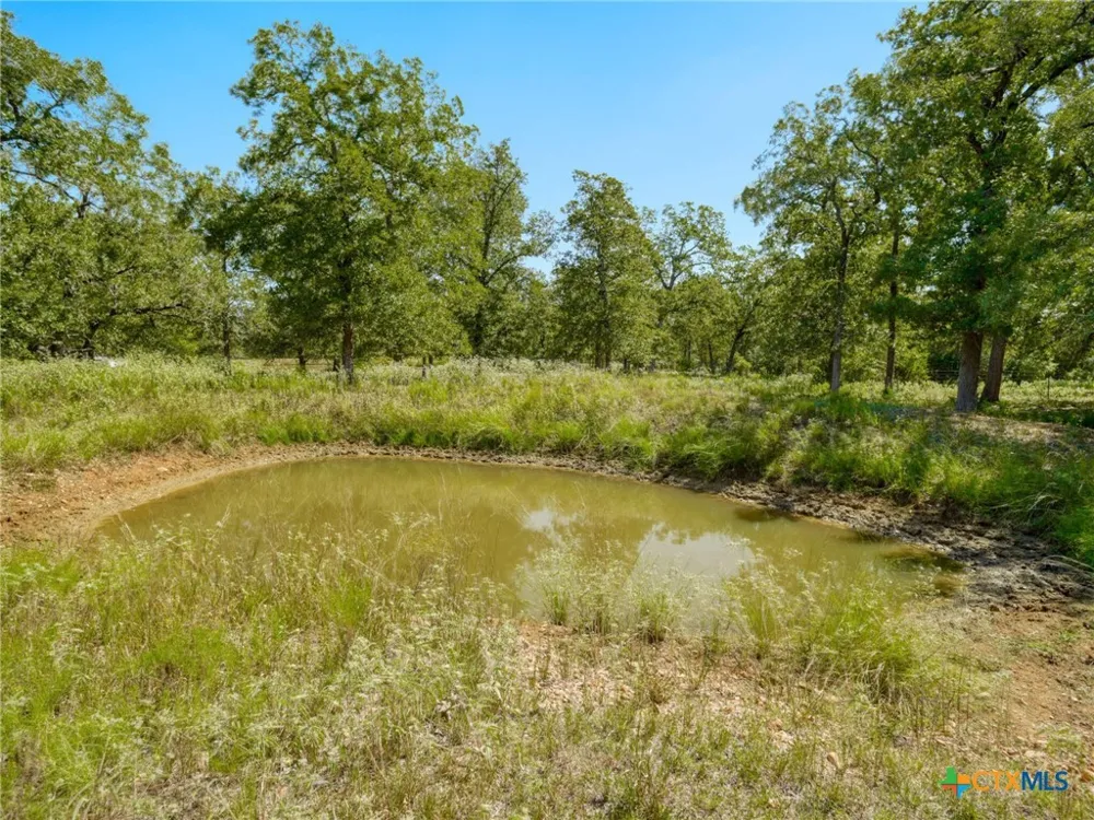294 Lois Lane Paige, TX 78659