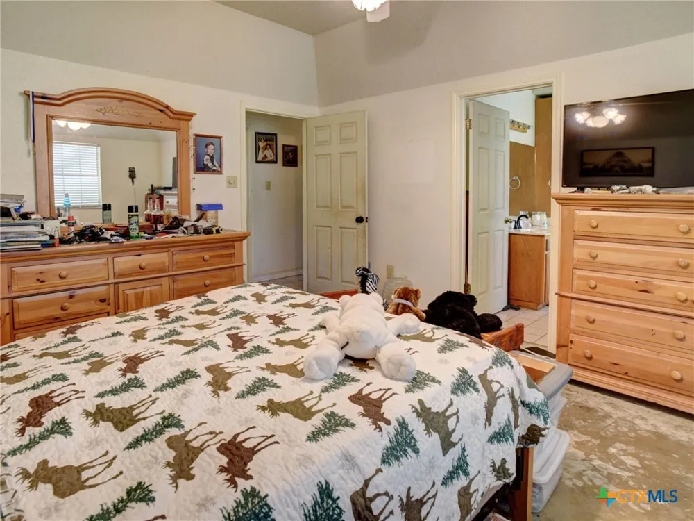 294 Lois Lane Paige, TX 78659