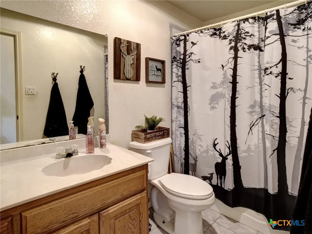 294 Lois Lane Paige, TX 78659