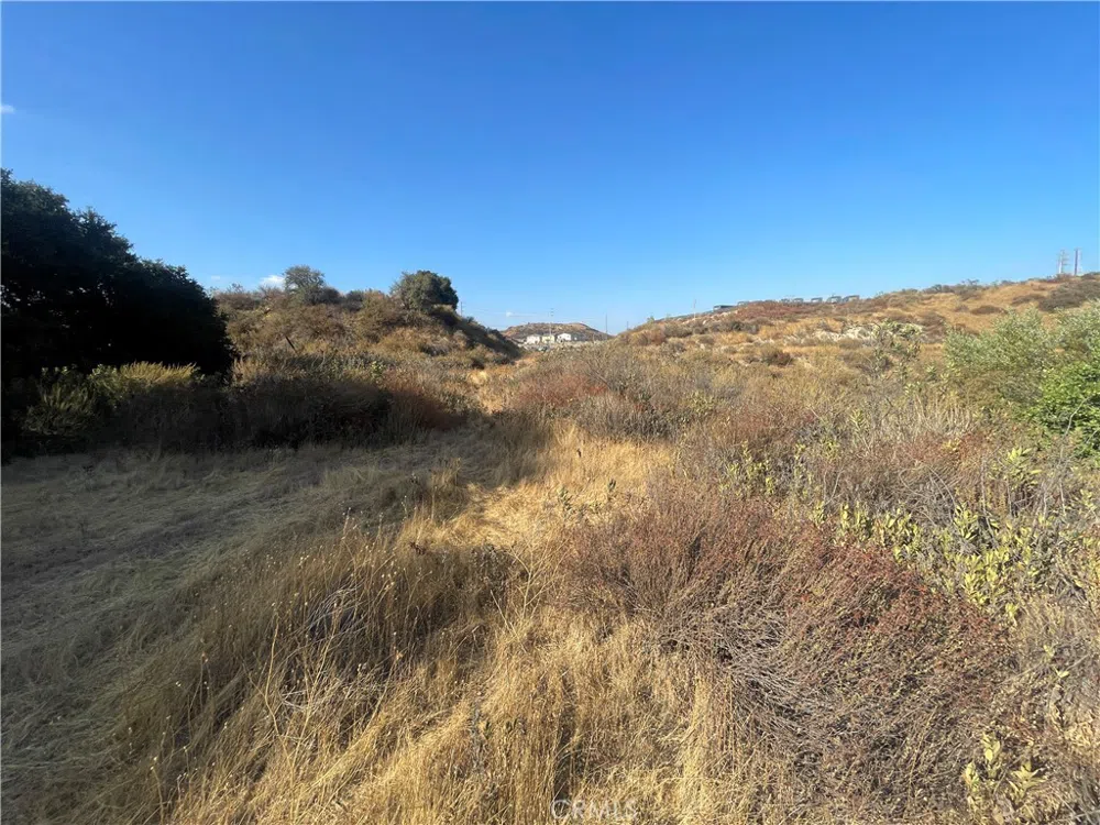 Newhall Avenue Newhall, CA 91321