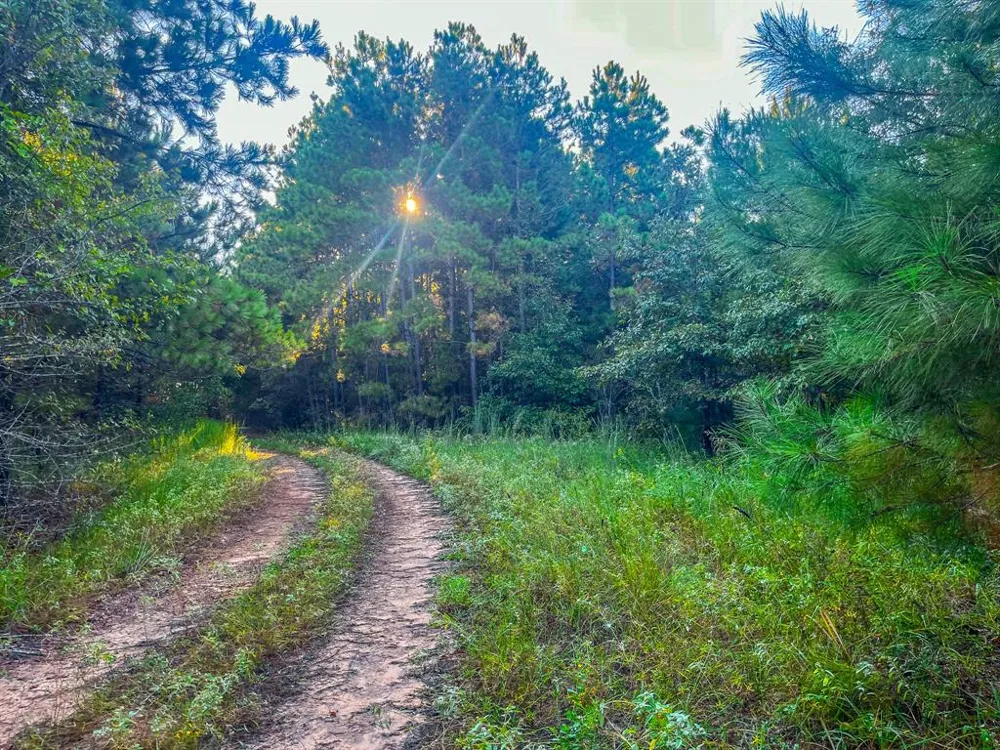 W US Highway 175 Jacksonville, TX 75766