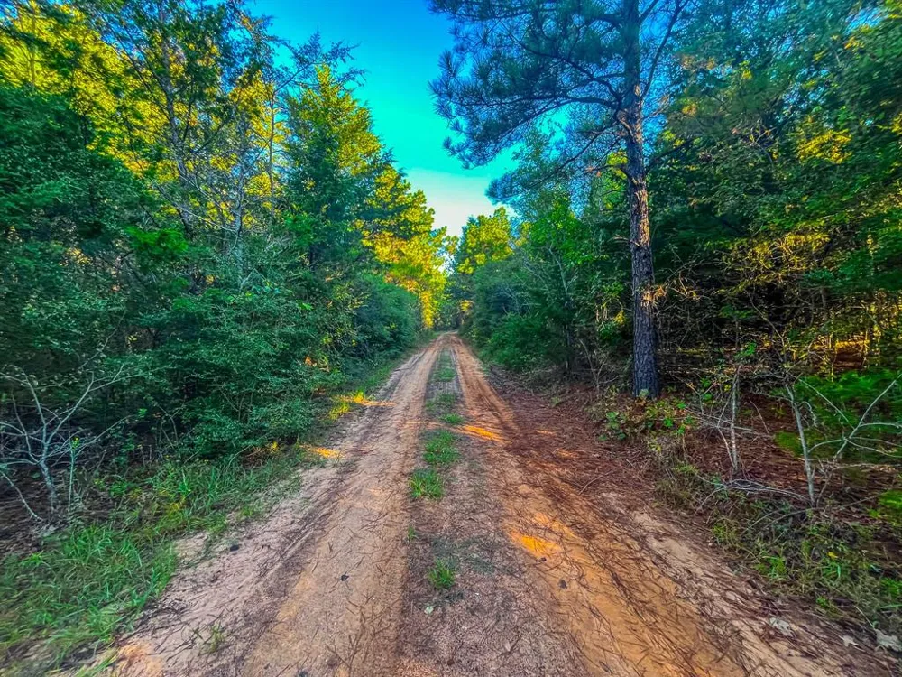 W US Highway 175 Jacksonville, TX 75766