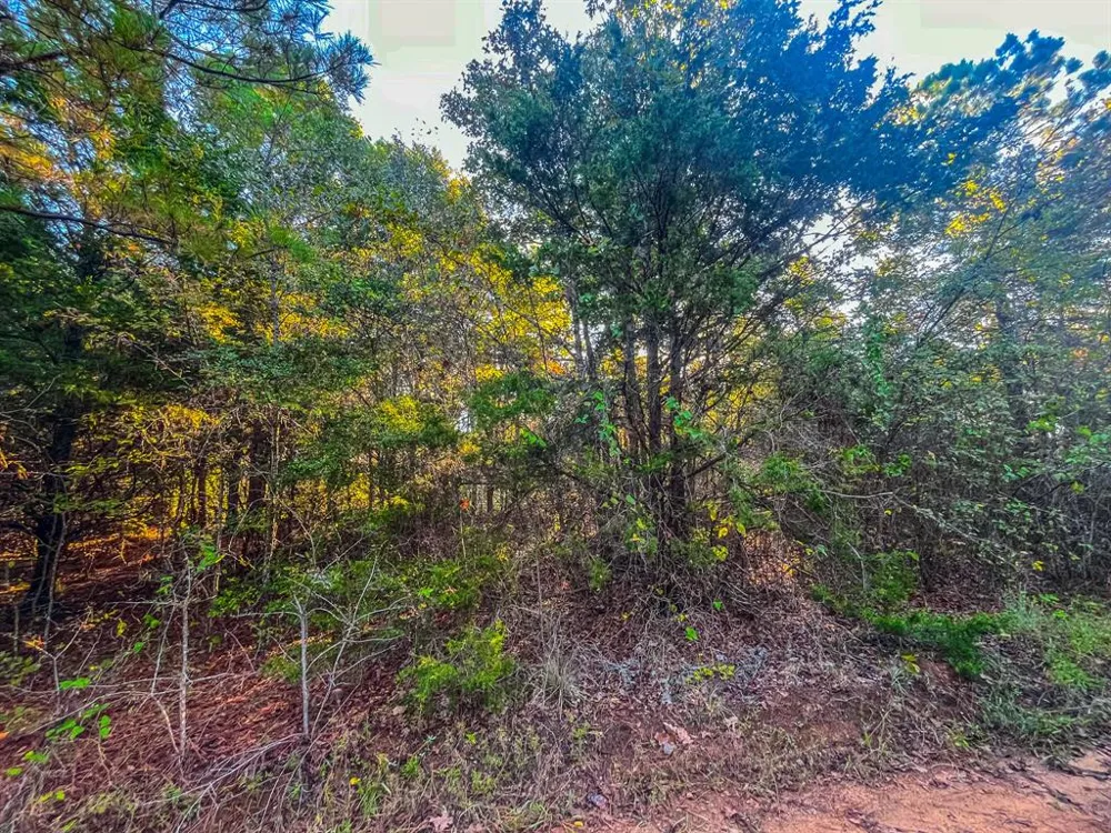 W US Highway 175 Jacksonville, TX 75766