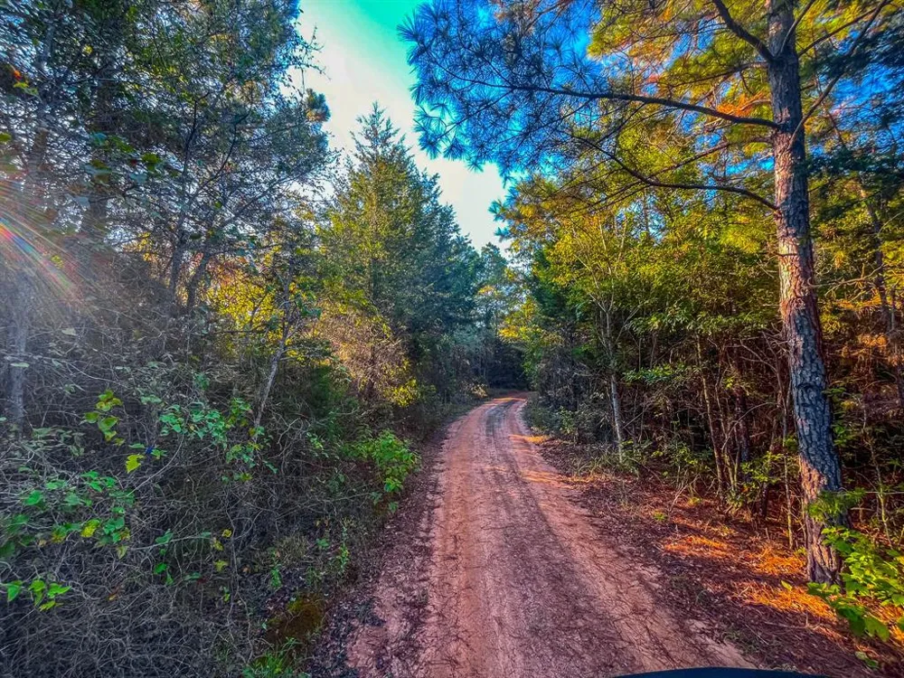 W US Highway 175 Jacksonville, TX 75766