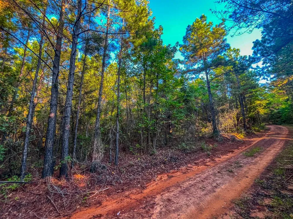 W US Highway 175 Jacksonville, TX 75766
