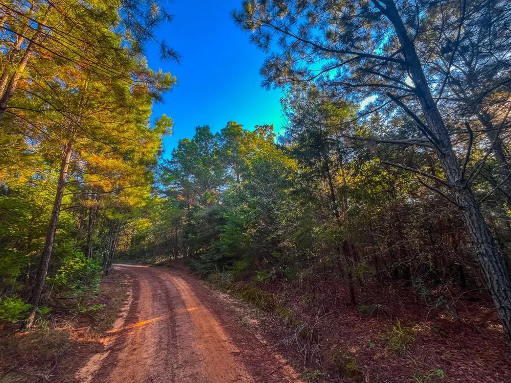 W US Highway 175 Jacksonville, TX 75766