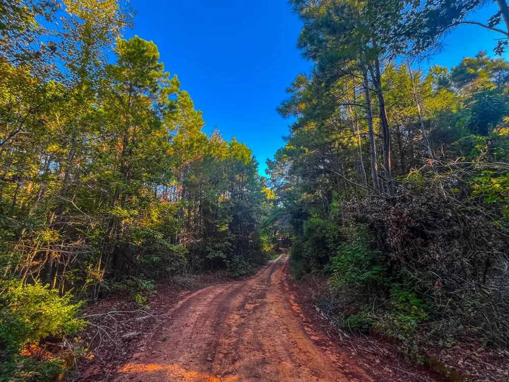 W US Highway 175 Jacksonville, TX 75766