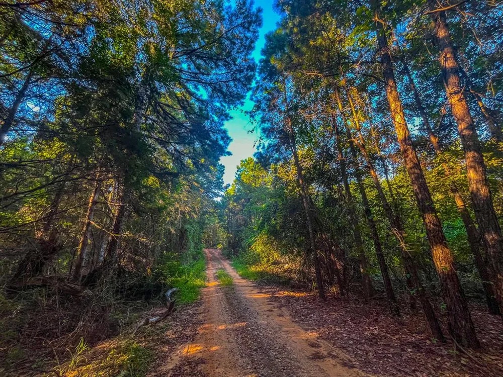 W US Highway 175 Jacksonville, TX 75766