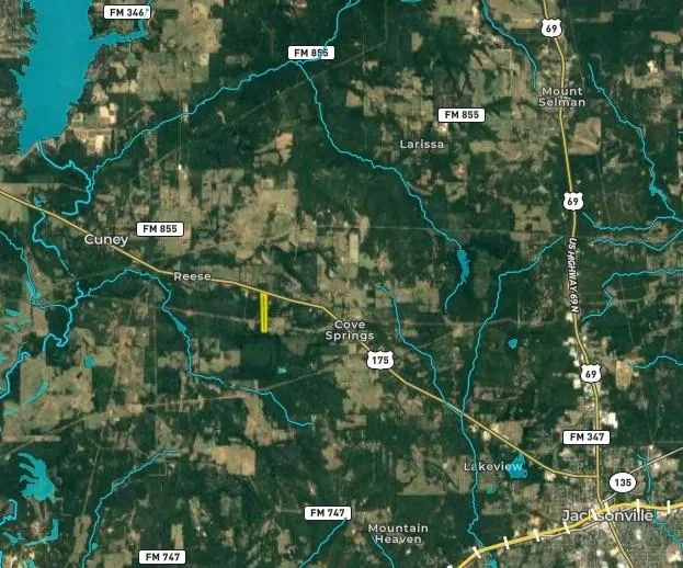 W US Highway 175 Jacksonville, TX 75766