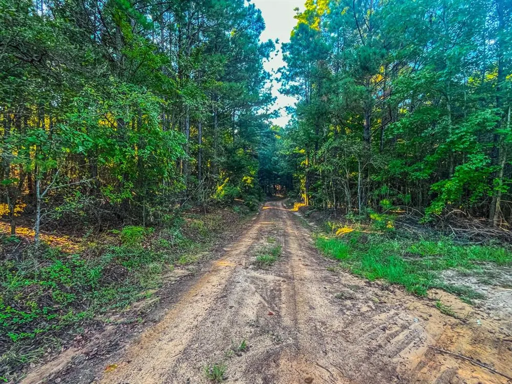 W US Highway 175 Jacksonville, TX 75766